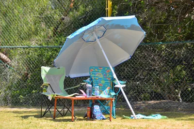 DSC_7469 (Large).JPG